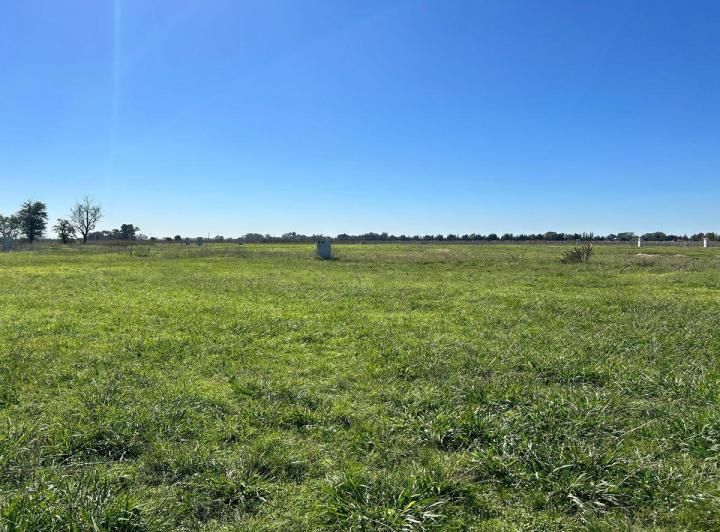 Terreno · 769m²