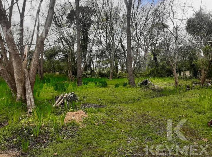 Terreno · 300m²