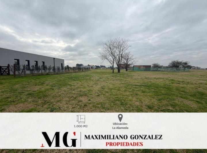 Terreno · 1000m²