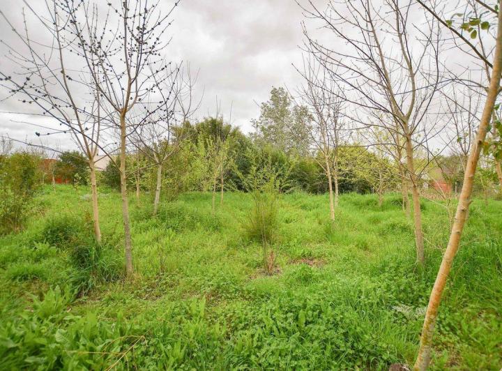 Terreno · 738m²