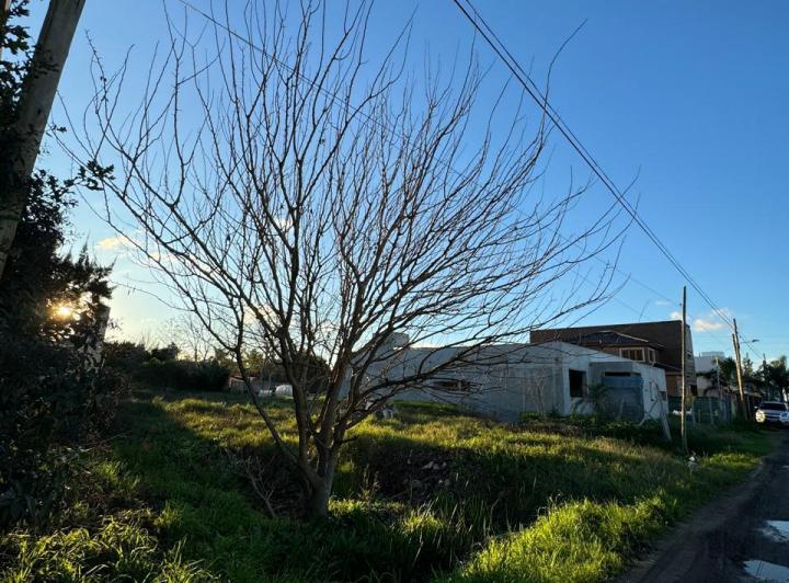 Terreno · 800m²