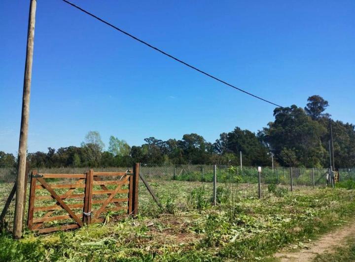 Terreno · 700m²