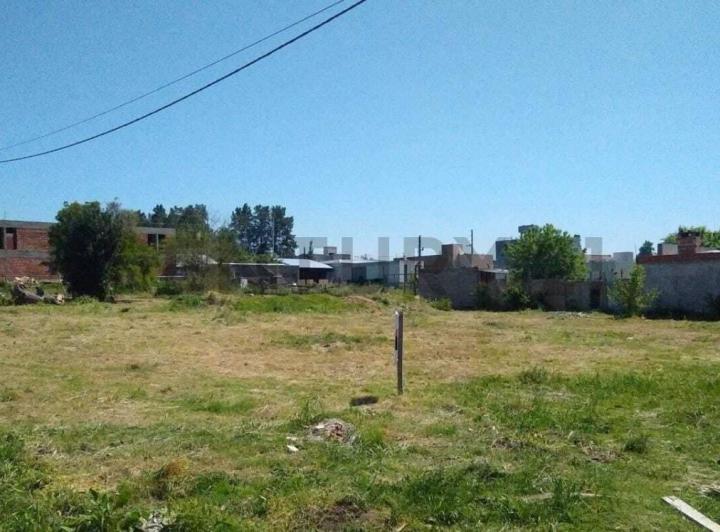 Terreno · 294m²