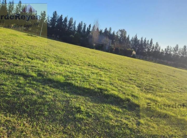 Terreno · 750m²