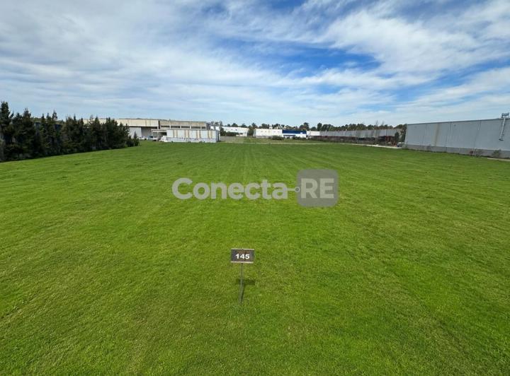 Terreno · 15000m²