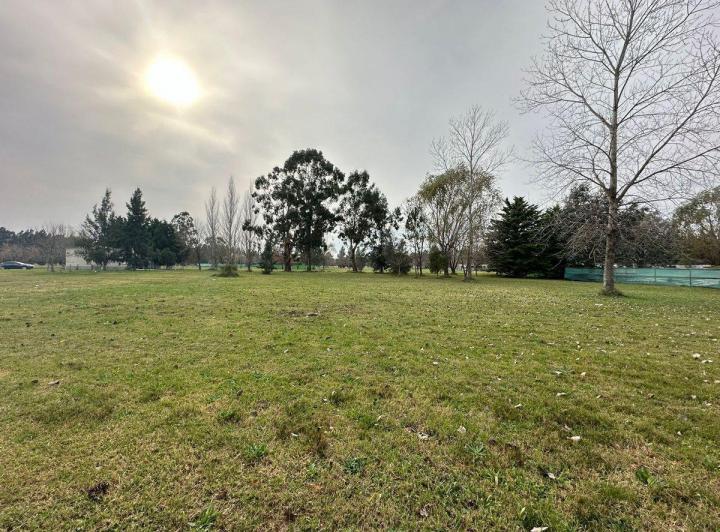 Terreno · 1240m²