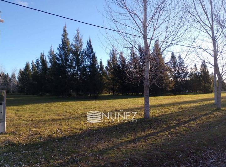 Terreno · 1676m²