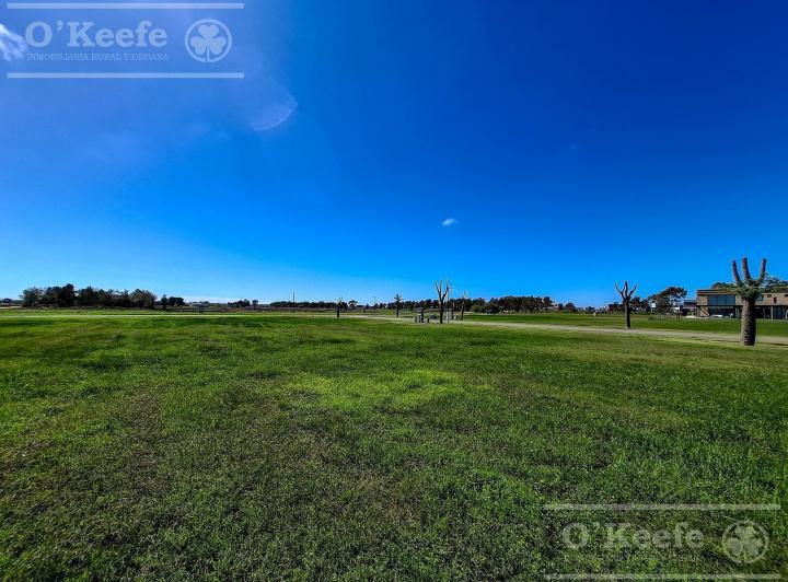 Terreno · 1308m²
