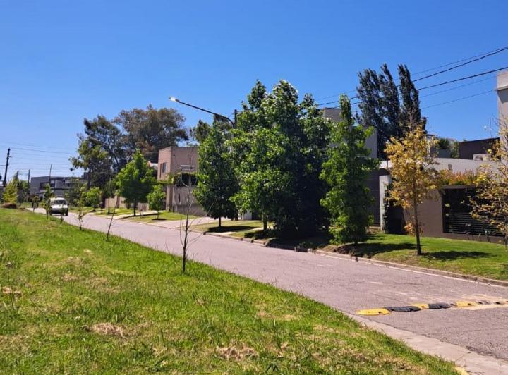 Terreno · 310m²