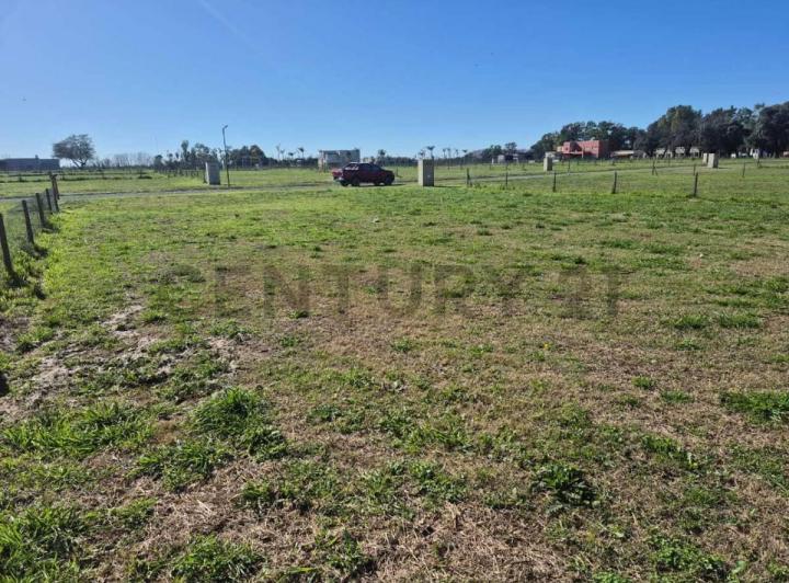 Terreno · 726m²