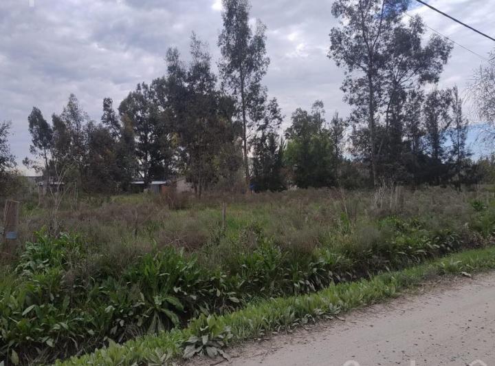 Terreno · 1250m²