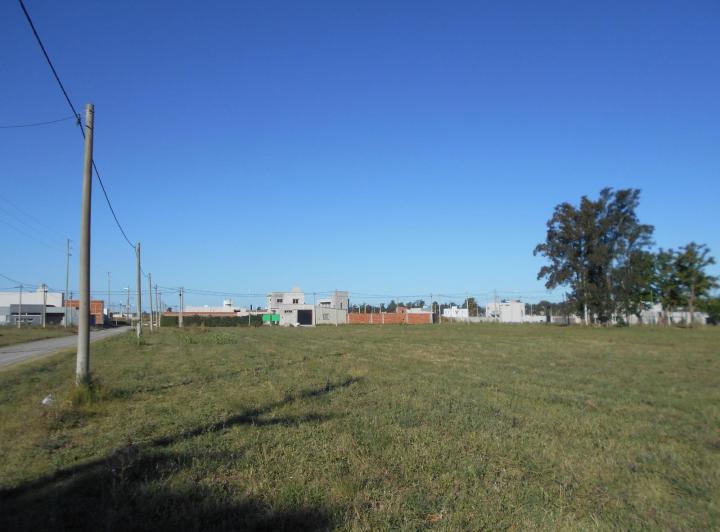 Terreno · 557m²