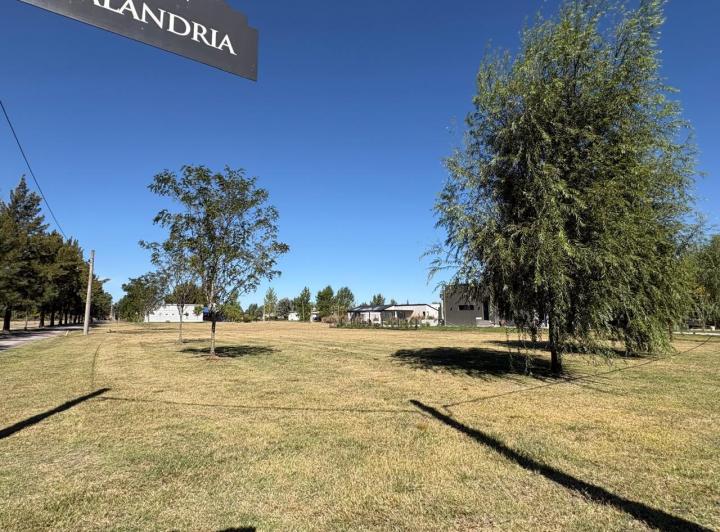 Terreno · 1082m²