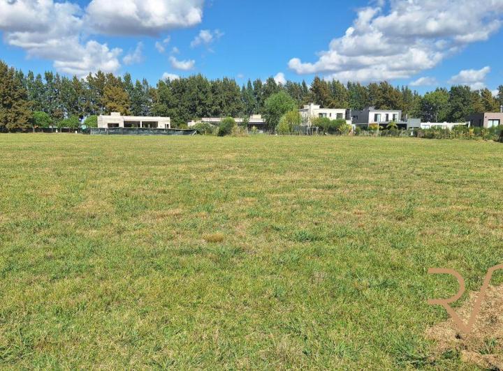 Terreno · 3686m²