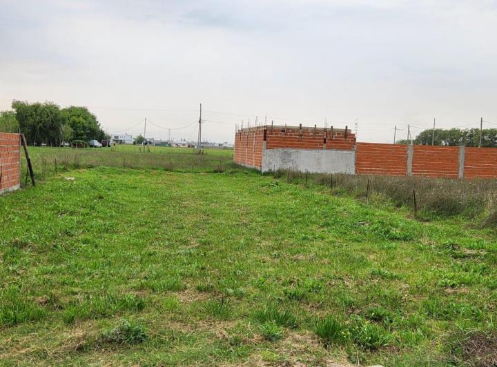 Terreno · 334m²