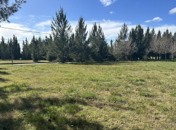 Terreno · 1000m²