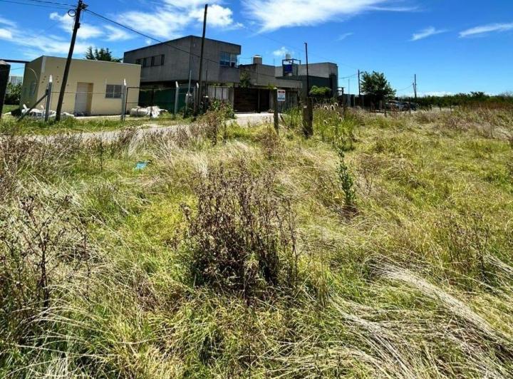 Terreno · 5000m²