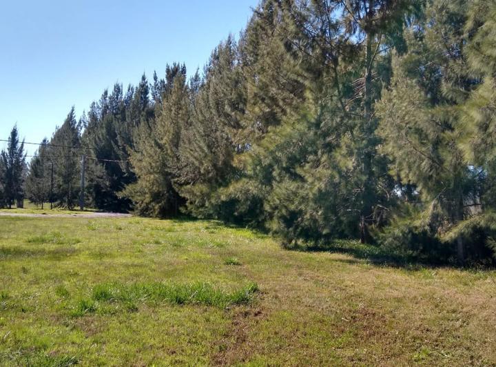 Terreno · 1001m²