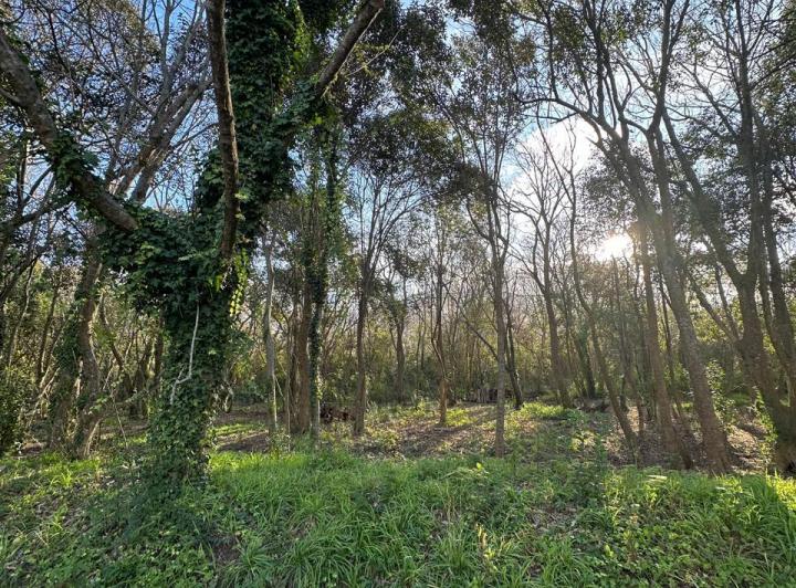 Terreno · 280m²