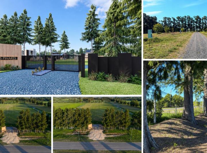 Terreno · 1230m²