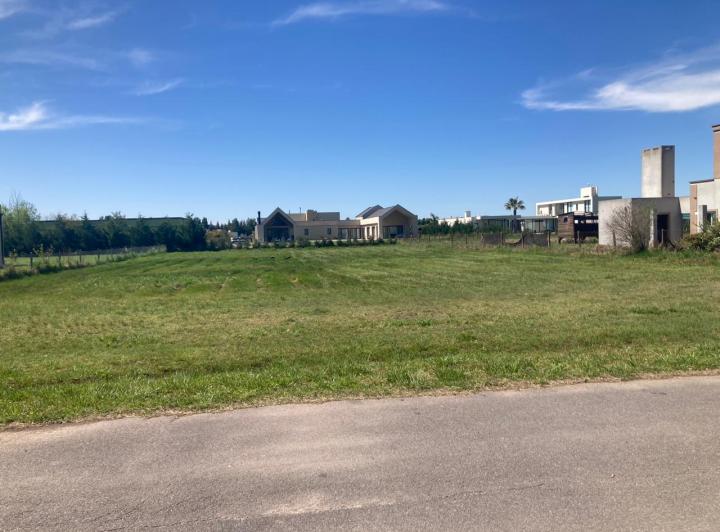 Terreno · 1733m²