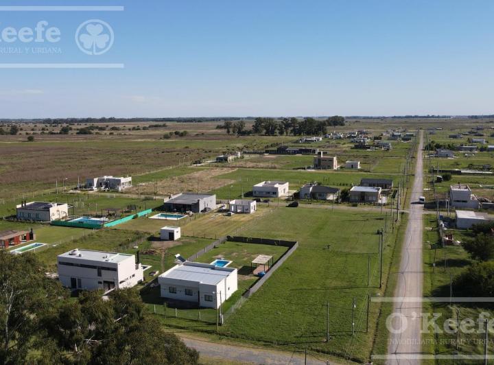 Terreno · 1000m²