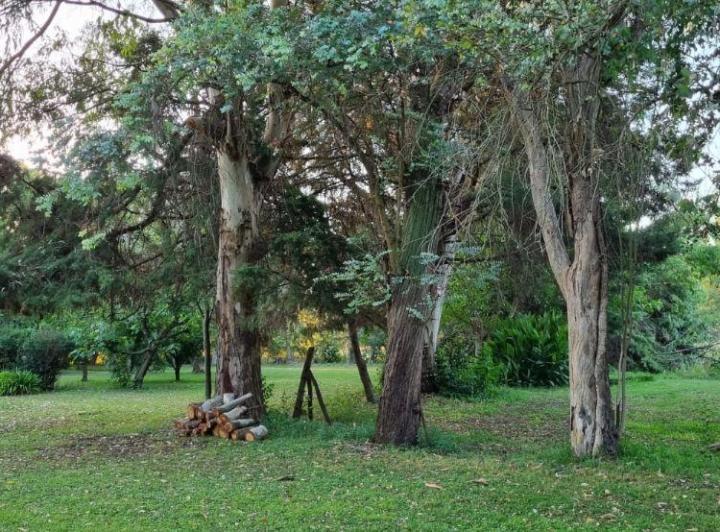 Terreno · 5392m²