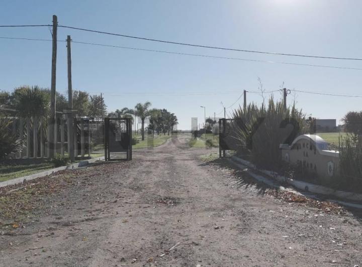 Terreno · 1000m²