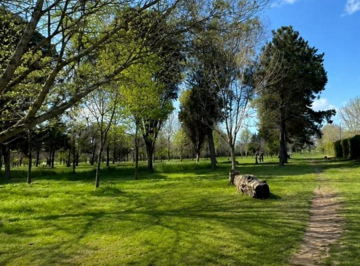 Terreno · 2222m²