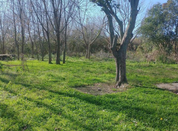 Terreno · 19000m²