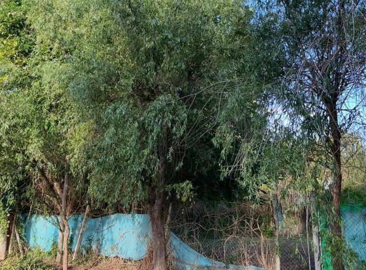 Terreno · 285m²