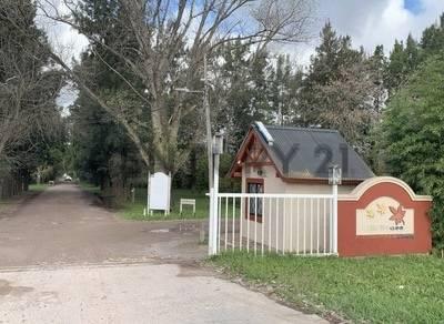 Terreno · 995m²