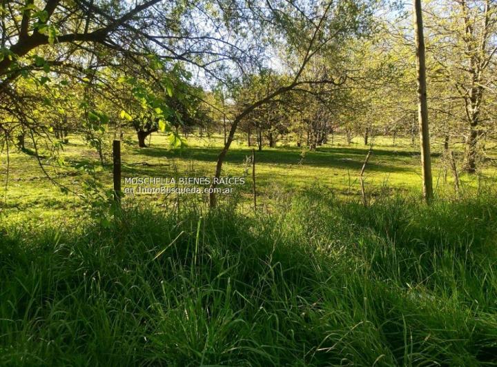 Terreno · 10427m²