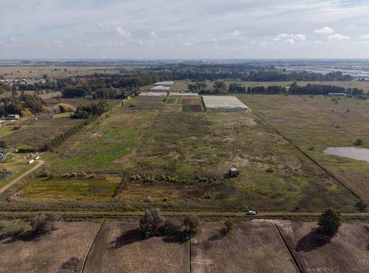 Terreno · 51180m²
