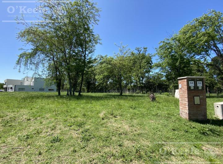 Terreno · 665m²
