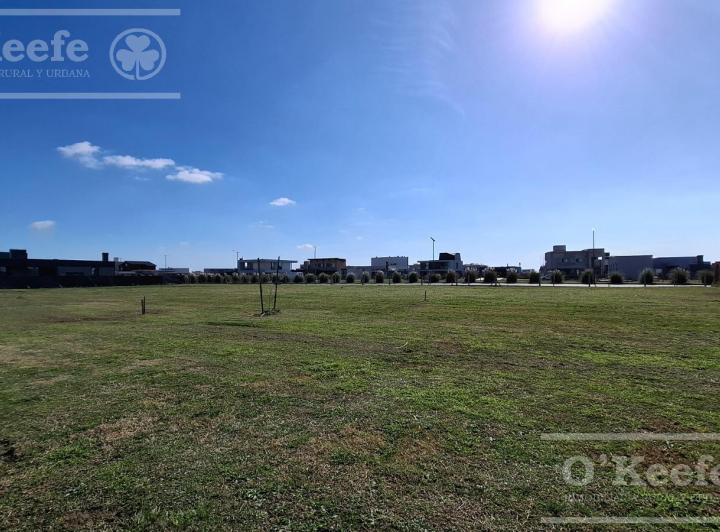 Terreno · 626m²