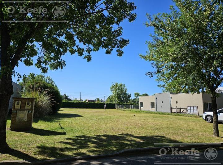 Terreno · 700m²
