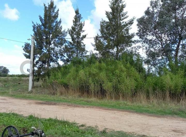 Terreno · 800m²