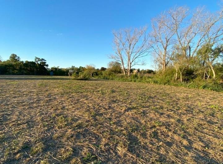 Terreno · 2428m²