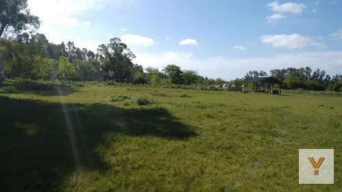 Terreno · 5000m²
