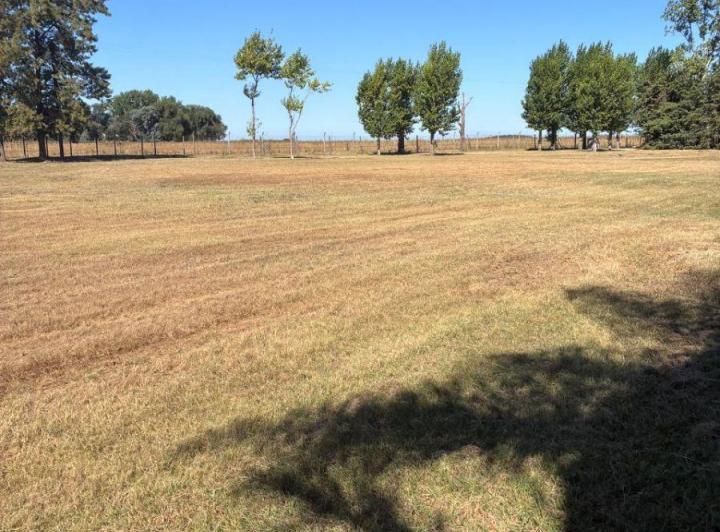 Terreno · 2860m²