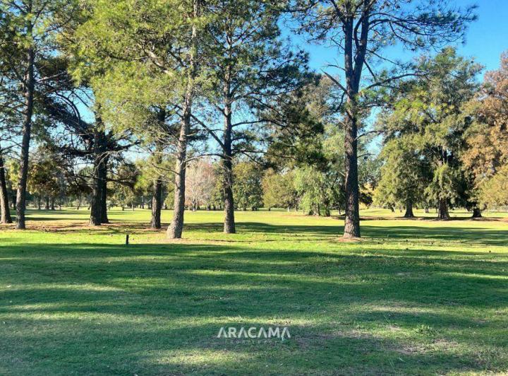 Terreno · 1180m²