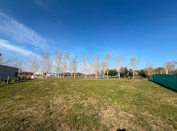 Terreno · 1003m²