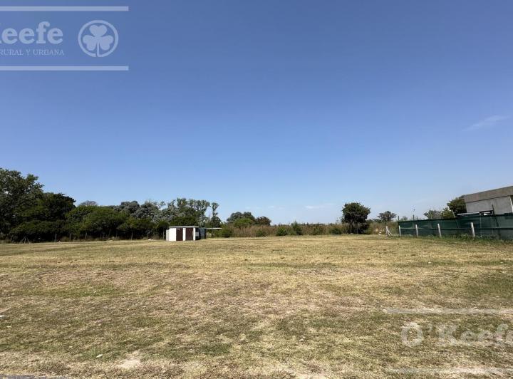 Terreno · 796m²