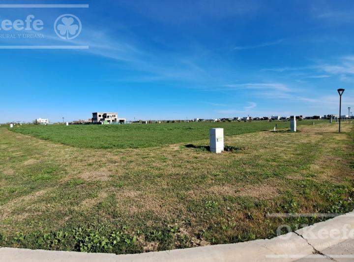 Terreno · 784m²