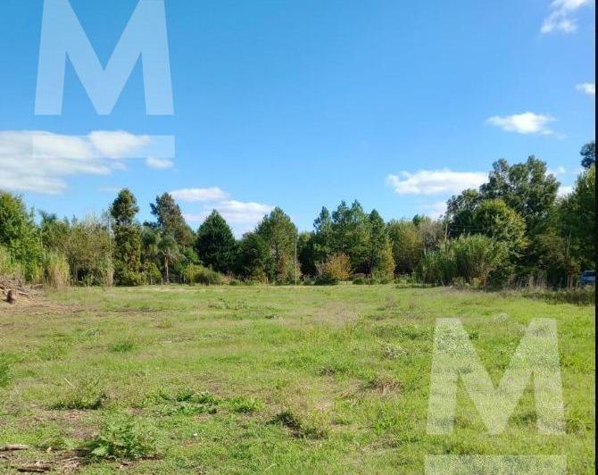 Terreno · 2600m²