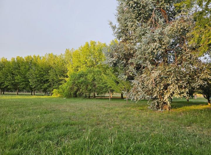 Terreno · 6579m²