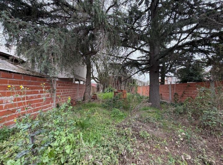 Terreno · 300m²