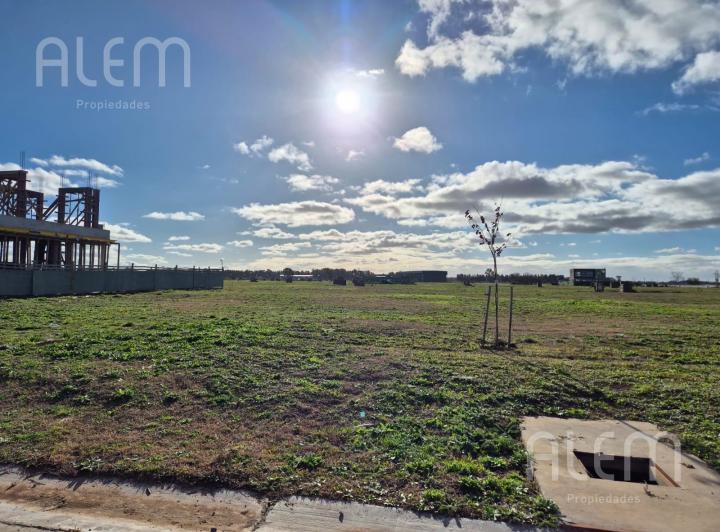 Terreno · 716m²