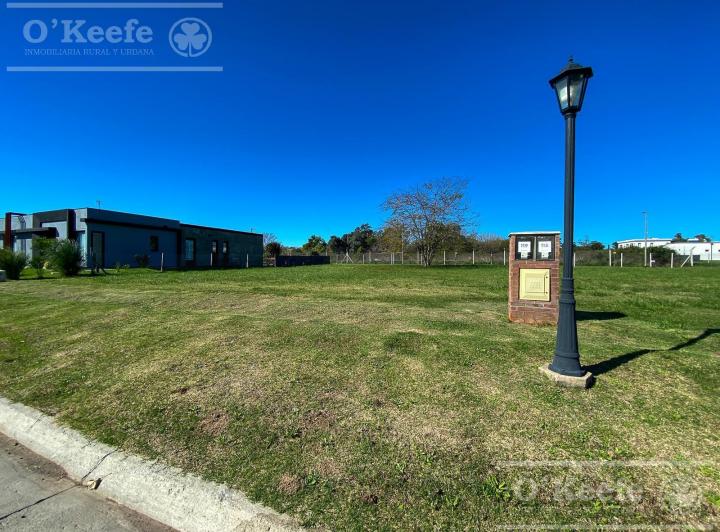 Terreno · 621m²